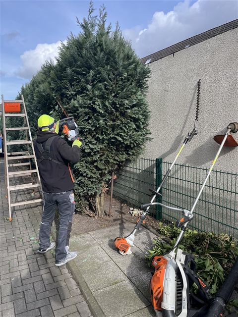Heckenschnitt Gartenpflege Castrop-Rauxel